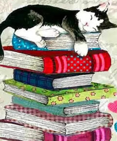 Cuadro Gato Dormilón Diamond Painting