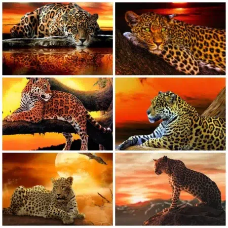 Cuadro Leopardo en la Selva Diamond Painting