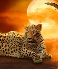 Cuadro Leopardo en la Selva Diamond Painting