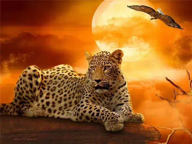 Cuadro Leopardo en la Selva Diamond Painting
