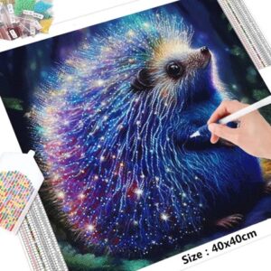 Cuadro Erizo Pintura de Diamantes