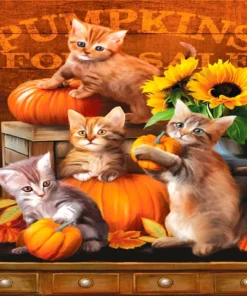 Cuadro Gatitos con Calabazas Diamond Painting