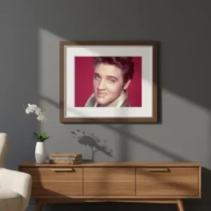 Cuadro Retrato de joven Elvis Diamond Painting